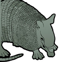 Image of an armadillo, official mascot of the Texas Linguistics Society conference
